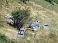 DSC02667