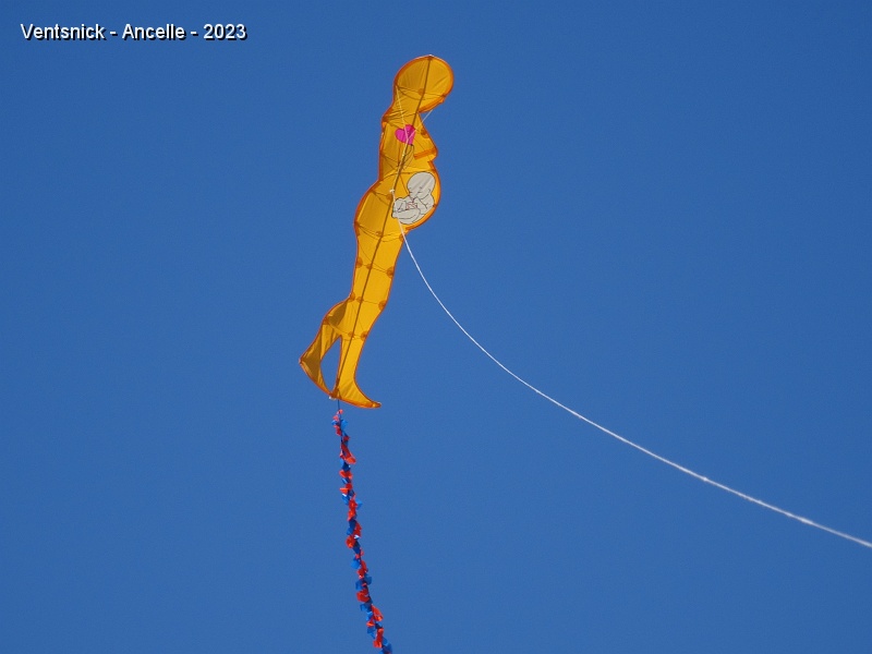 DSC02649.JPG - Notre "Rêve d'enfant " effectue plusieurs envols pendant ce week-end de 3 jours.