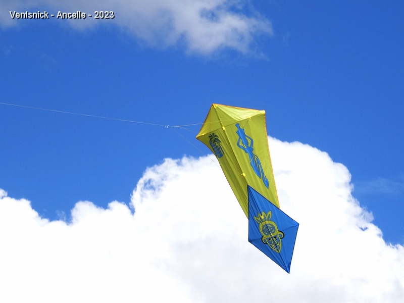 DSC02679.JPG - ... de nos cerfs-volants, ...