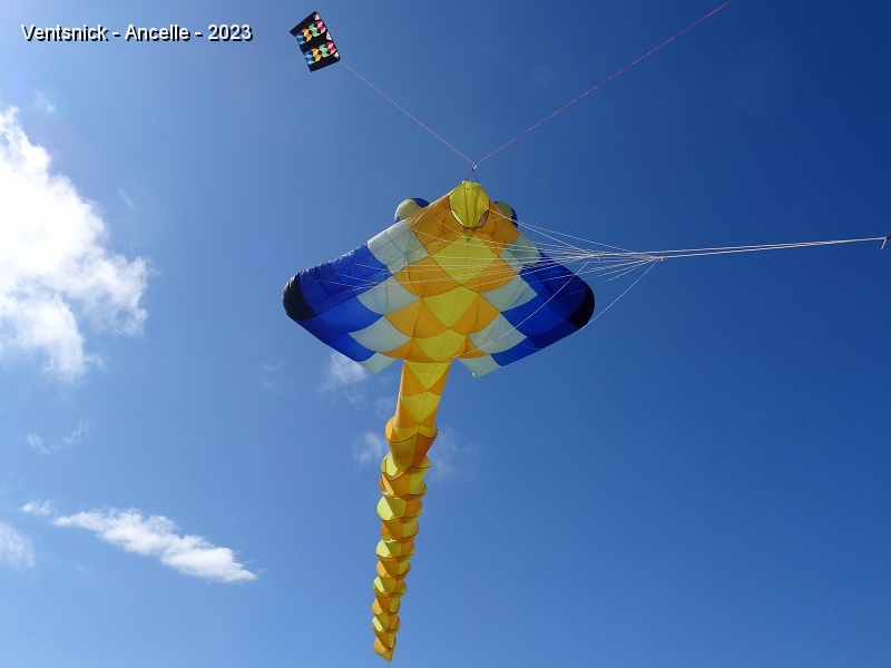DSC02691.JPG - Notre raie Manta ne manque pas d'air, ...