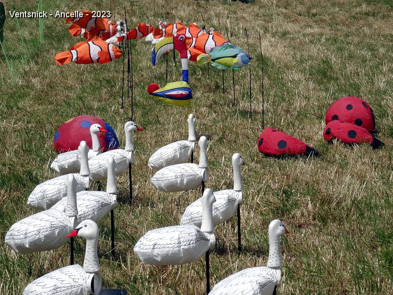 DSC02707.JPG - A l'arrière des oies de Sylvain Borgeaux, les poissons,  coccinelles,  et un flamant rose façon Mondrian de Marie-Hélène et Jean-Pierre Schaefer.