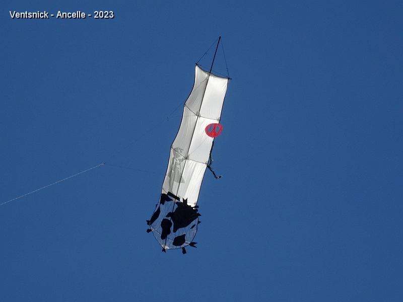DSC02817.JPG - ... cette jeune fille qui fait voler le symbole de la paix. Ce cerf-volant milite pour la paix dans le monde.