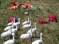 DSC02707
