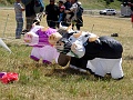 DSC02719