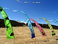 DSC02779