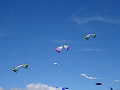 DSC02780