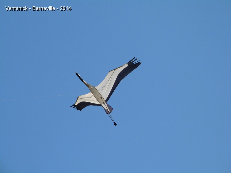 P1090637.JPG - ... Maxime Rousselle lance une grue ...