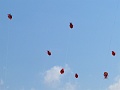 P1090659