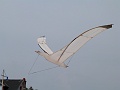 P1090813