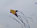 P1090818