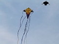 P1090820