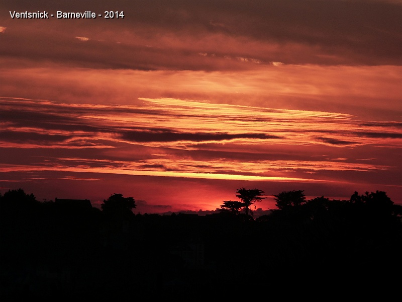 P1090730.JPG - Le ciel rougeoie, le moment du vol crépusculaire est venu  ...