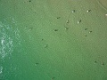 P1170276
