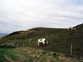 DSC02141