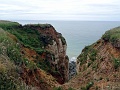 DSC02148
