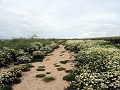 DSC02150