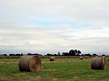 DSC02151