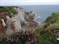 DSC02164