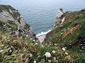 DSC02165