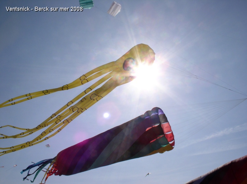P1010004.JPG