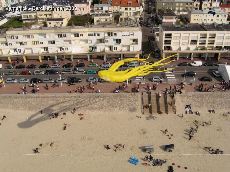 IMG_2111.jpg - Une pieuvre jaune plane tout là haut.