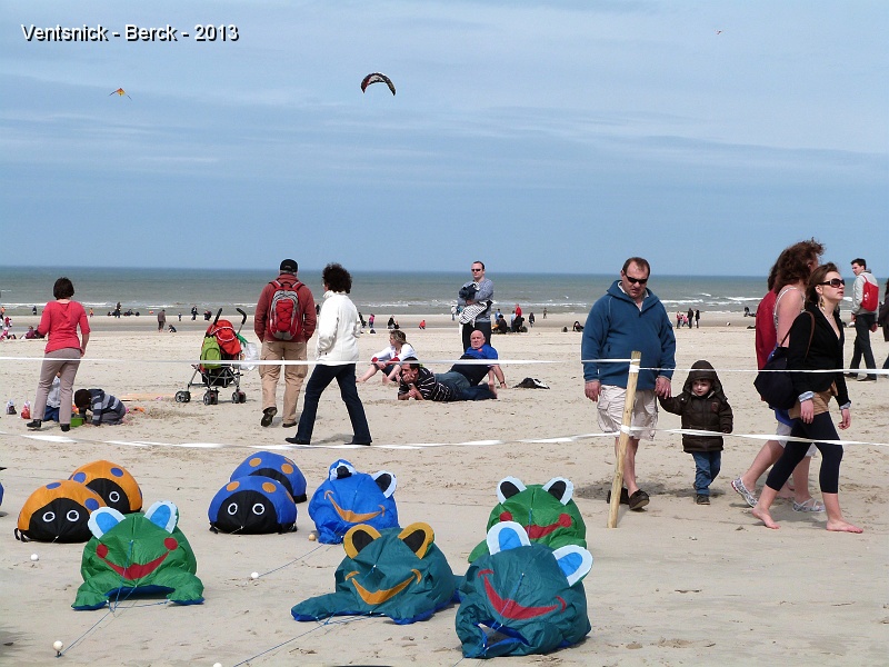 P1030404.JPG - ... voilà une journée placée sous le signe du soleil, nos grenouilles sont tout sourire et nous aussi ...