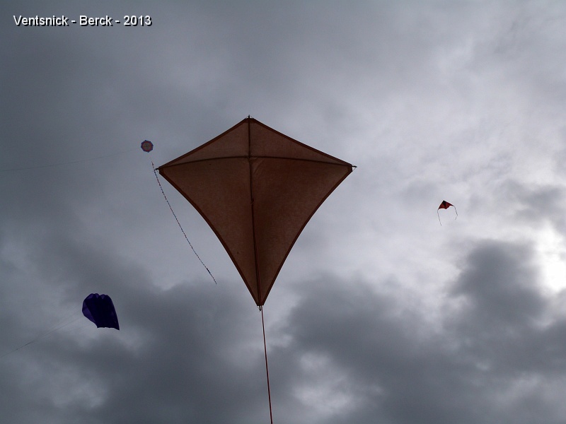 P1030596.jpg - ... du bois, du coton pour cet Eddy de Marcel Guernez qui nous a été confié par sa fille  Dominique. Un retour dans le ciel de Berck après plus de 15 ans de placard ...