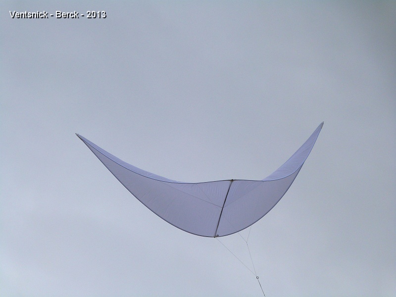 P1030621.jpg - ... voile aux lignes très épurées ...
