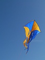 P1030495