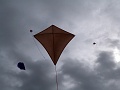 P1030596