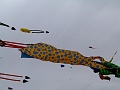 P1030642