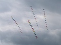 P1030651
