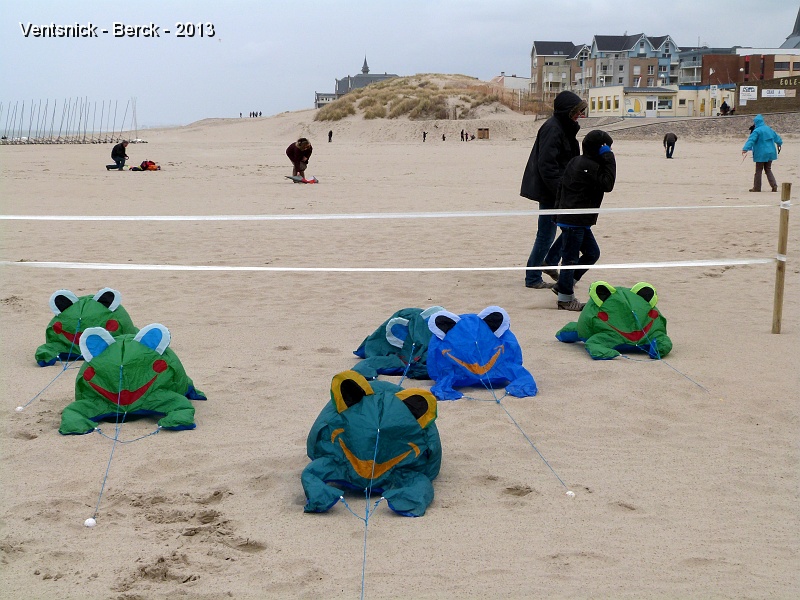 P1030373.JPG - ... nos grenouilles sont installées ...