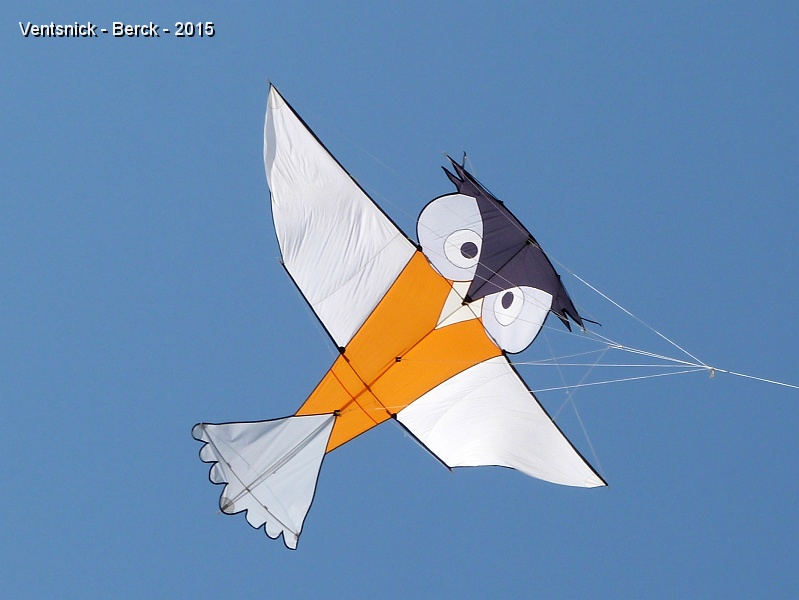 P1120694.jpg - Hibou de Bernard Jusserand ...