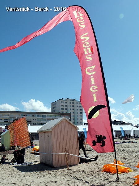 P1180626.JPG