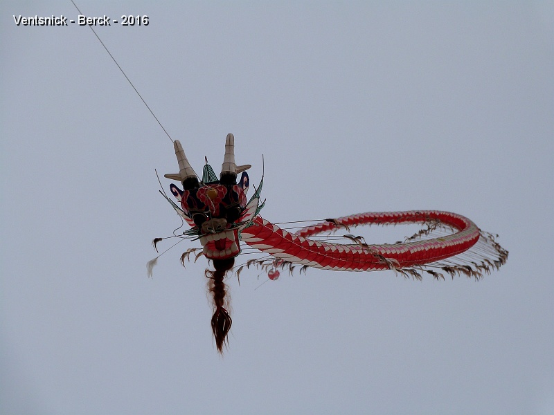 P1180525.JPG - Dragon Allemand (centipeden.de) ...