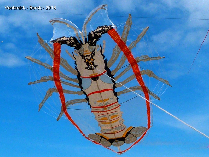 P1180688.JPG - ... notre langouste en profite pour sortir de son sac et ...