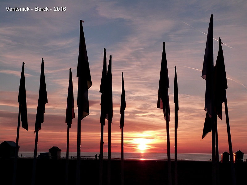 P1180736.JPG - ... les drapeaux ont résisté aux assauts du vent ...