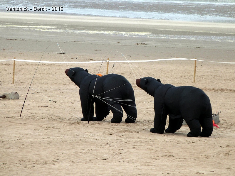 P1180794.JPG - Les "Ursus volans" sortent des ours ...