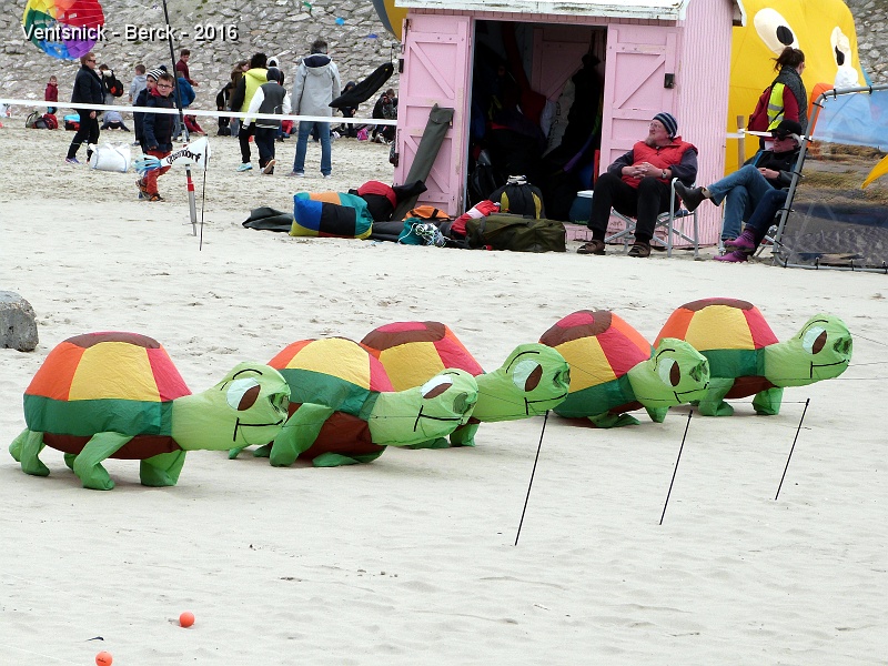 P1180815.JPG - ... et des tortues.