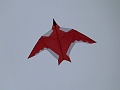 P1180540