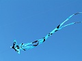 P1180583