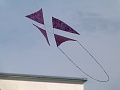 P1180651
