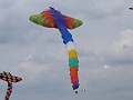 P1180784