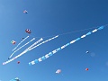 P1180906