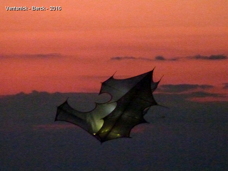 P1180748.JPG - Photo d'un cerf-volant équipé pour le vol de nuit à l'essai le mercredi 13 ...