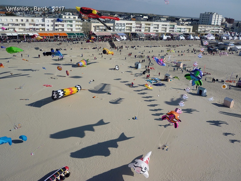 P1250204.jpg - ...