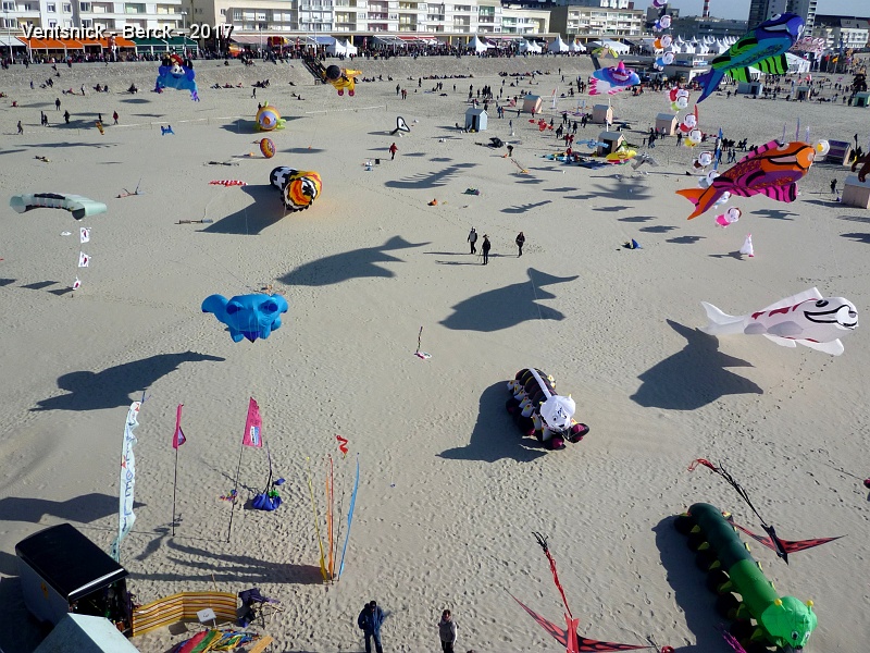 P1250262.jpg - ...
