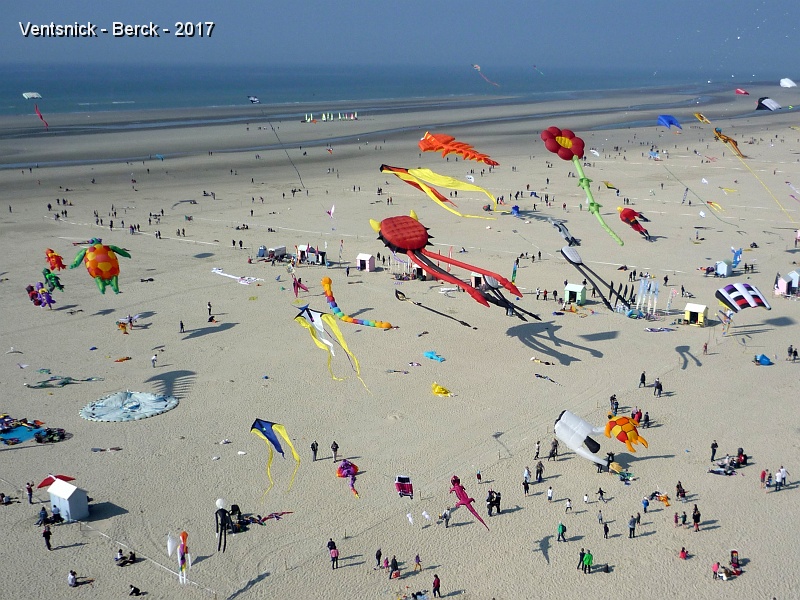 P1250462.jpg - ...