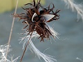 P1220257